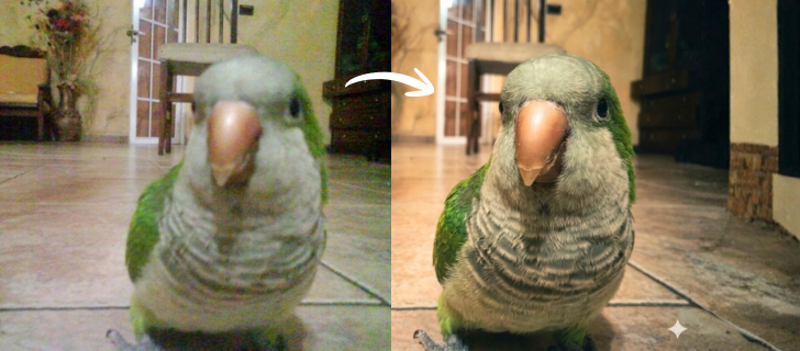 Como mejorar fotos de baja calidad para tatuajes usando Gemini